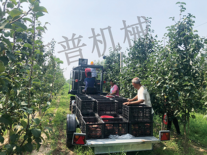 宅男腐女视频APP软件下载