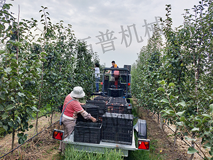 宅男腐女视频APP软件下载