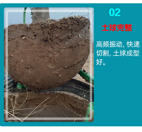 宅男视频APP安卓下载