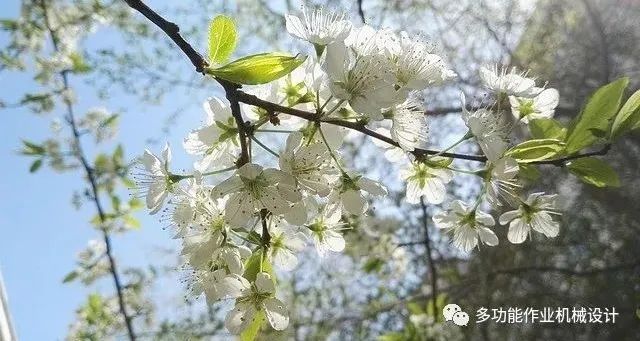 多功能果園作業平台--果園管理的好搭檔！