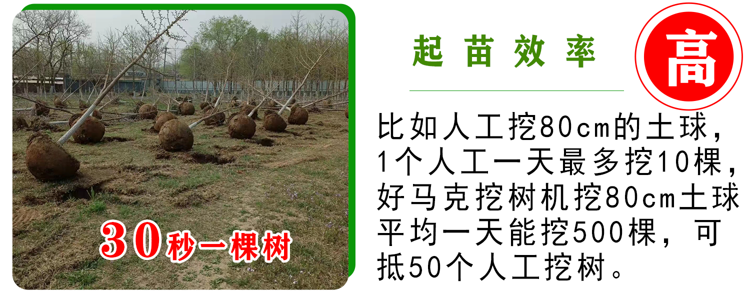 好馬克宅男视频APP安卓下载